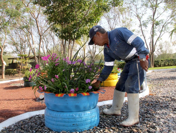 Integran al Jardín Didáctico área verde de material reciclado
