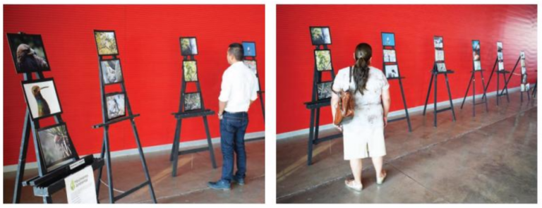 Tercer Festival de Aves