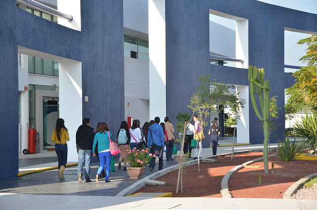 UPA confirma su Comité de Igualdad de Género