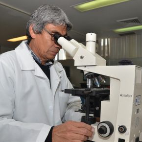 12074622175_08e2498b06_z