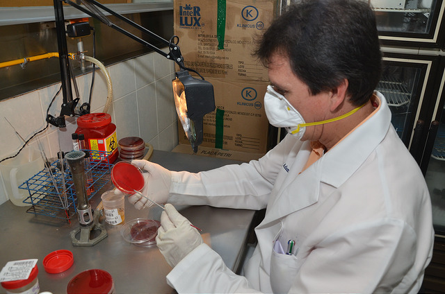 Identificación de restos humanos por medio de ADN