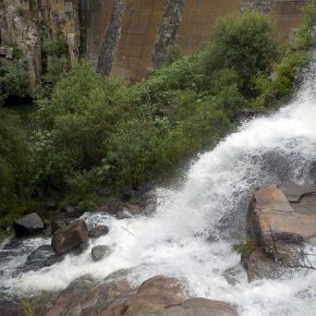 19648729455_45f811828e_z