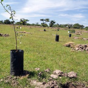 20329170075_75cd216e9e_k