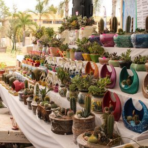 26465315706_34a41192d2_z