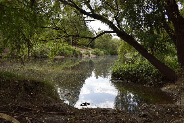 Municipio espera alcanzar el nivel 2 en la certificación en calidad ambiental