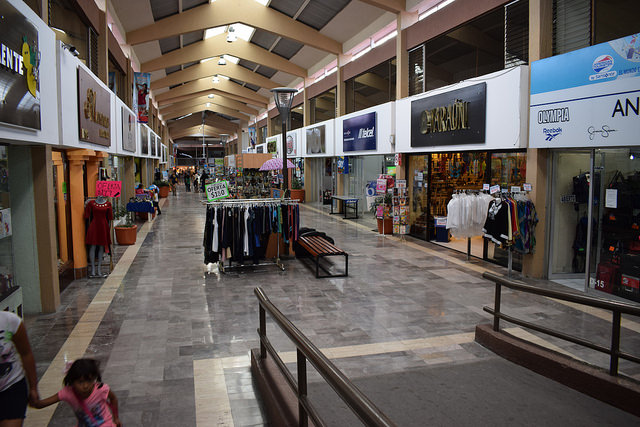 Apoyarán jubilados alemanes a mipymes de la entidad