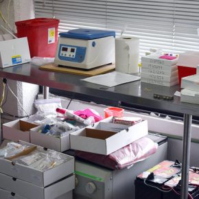 29387241054_327b2196ea_z