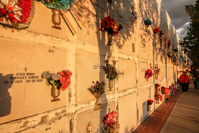 Construyen nichos en panteón