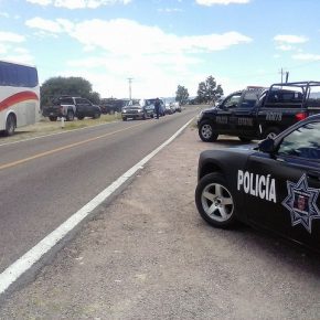 30339992286_b259837c41_z