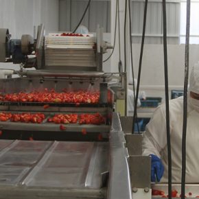 32736559292_598804d986_z