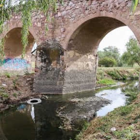 33573163212_abd676a72d_z