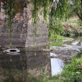 33729368825_8568978e83_z