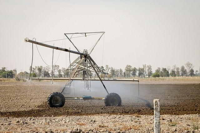 Realizan obras de conservación de suelo y agua en el campo del estado