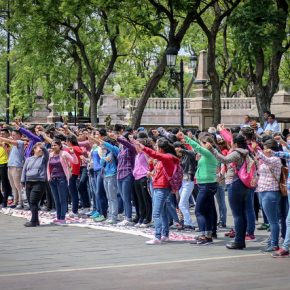 35002326212_0300cfe9a7_z