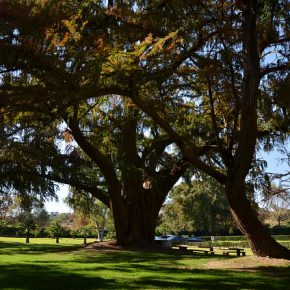 8322724771_ec2d153197_z