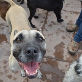 9169091003_f98dd95b74_z