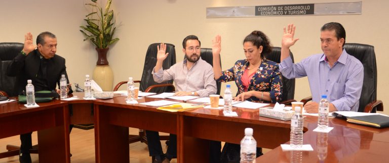 Sesión de la Comisión de Desarrollo Económico