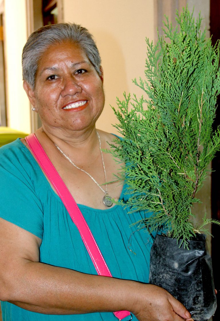 Entregaron árboles a quienes acudieron a realizar algún trámite en el Miércoles Ciudadano