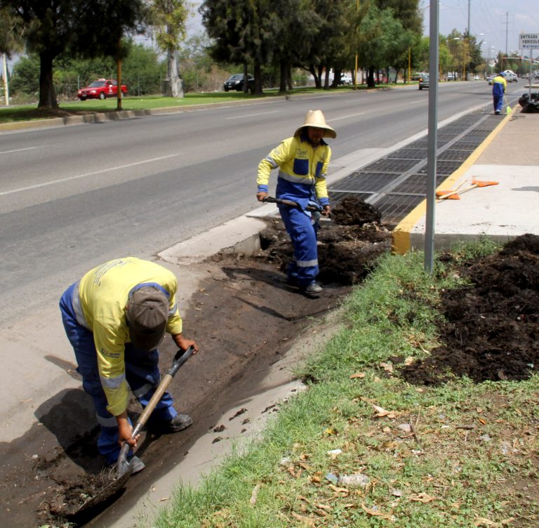 Ante inundaciones, realizan operativo especial de limpieza en caimanes