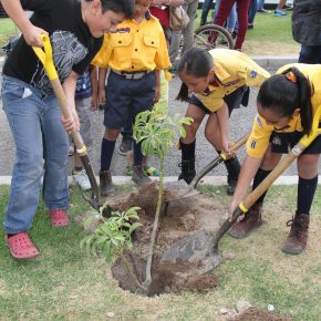 TODOS JUNTOS REFORESTANDO