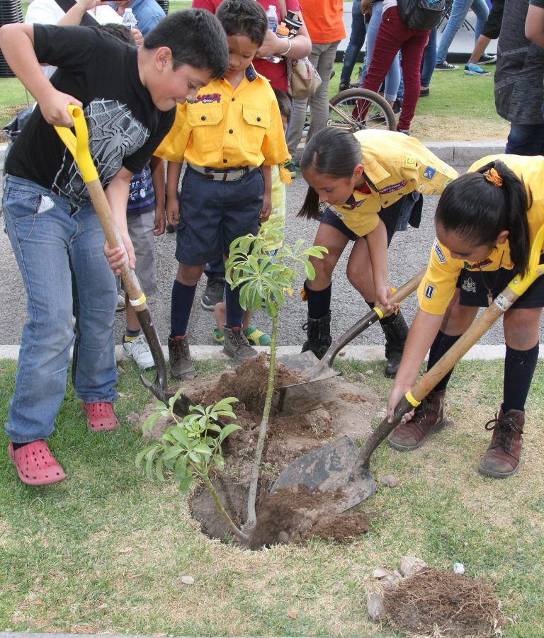 Plantan 2 mil nuevos árboles en la ciudad