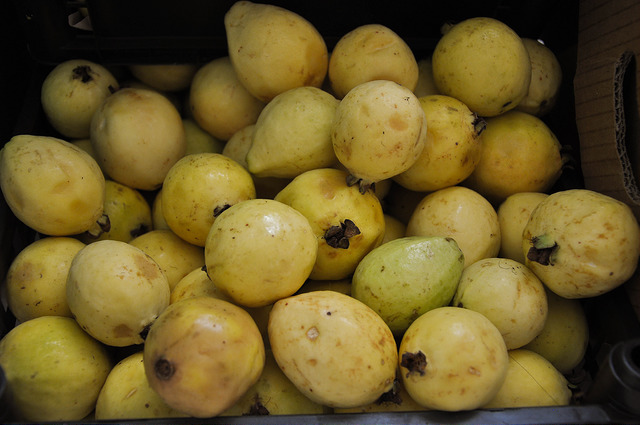 Radiografía de la guayaba