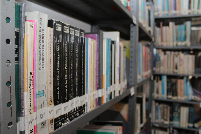 Inadvertido, el Día Nacional del Bibliotecario