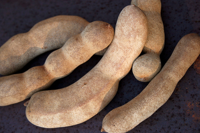 Vigilan la calidad sanitaria de productos retornados al país