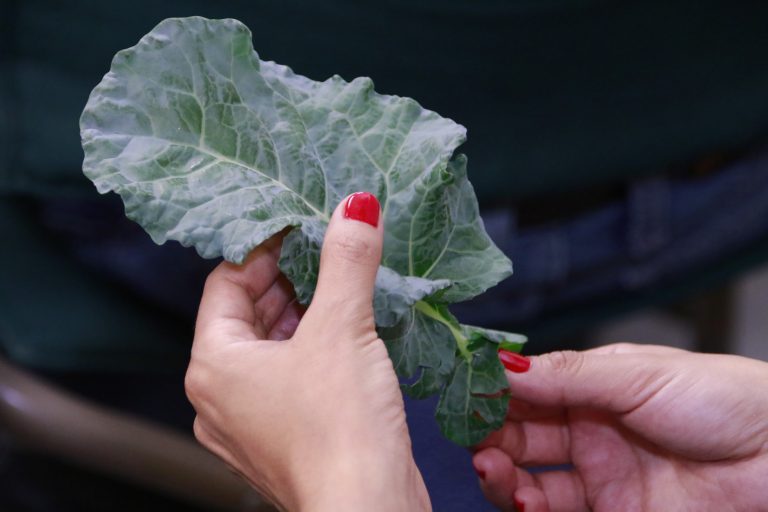 Realizan taller sobre sana alimentación en Centros de Atención Infantil de Aguascalientes