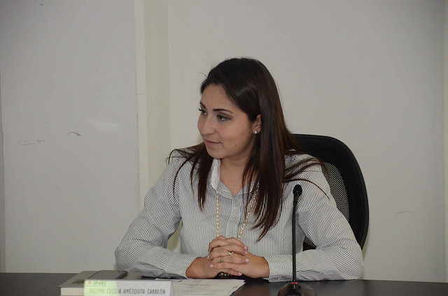 Grupo parlamentario del PAN no votará a favor del matrimonio igualitario