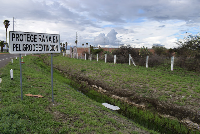 Exhortan a Semarnat a que informe sobre la situación del sitio Ramsar