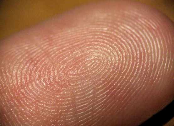 Recomendaciones para usuarios de sistemas de identificación biométrica en la banca móvil