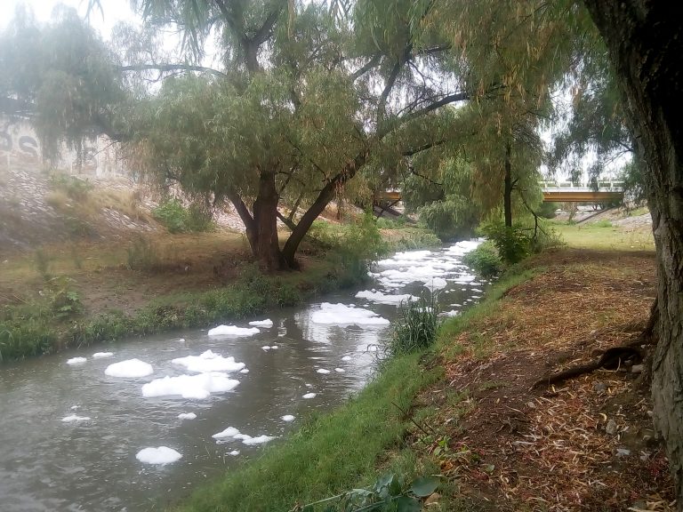 Acusan a empresas de contaminar el Río San Pedro