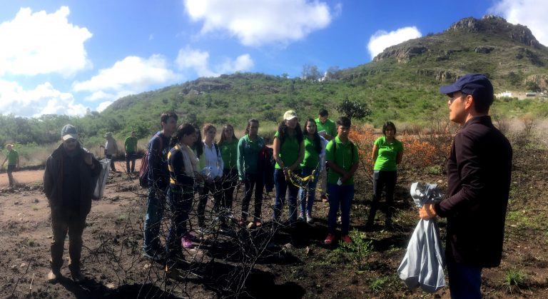 Realizan jornada de restauración de áreas naturales siniestradas