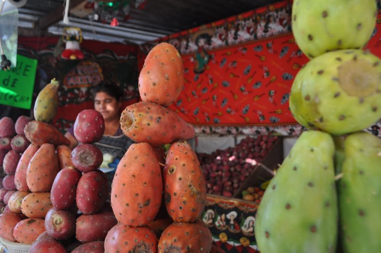 Imágenes de Aguascalientes
