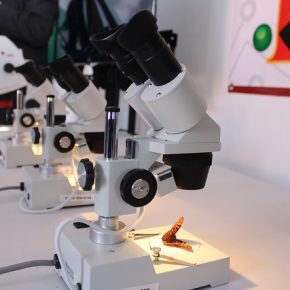 16637274052_f207637a39_z