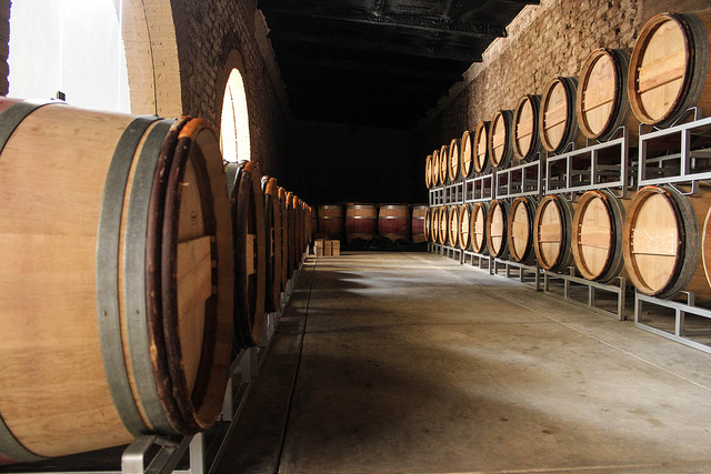 La vitivinicultura es una gran generadora de impuestos