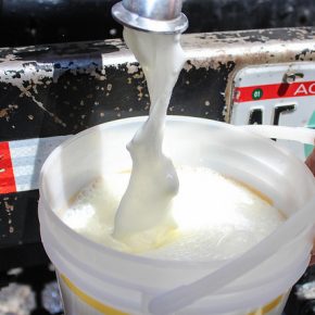 25478856692_757ca4a451_z