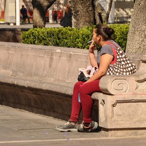 25657277873_2664756d92_z