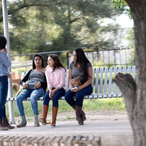 29929414430_b4d4dc6f2d_z