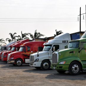 33608053993_a8d71fd96f_z