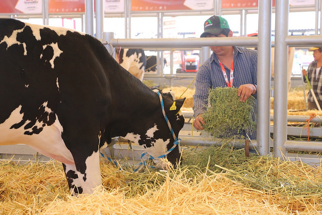 Prevén creación de un Registro Estatal de Productores Pecuarios