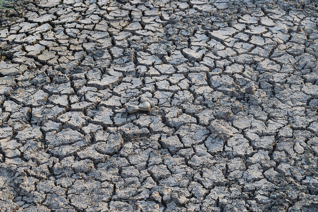 El cambio climático, una amenaza existencial