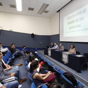 344 Ecuela de proteinas (3)