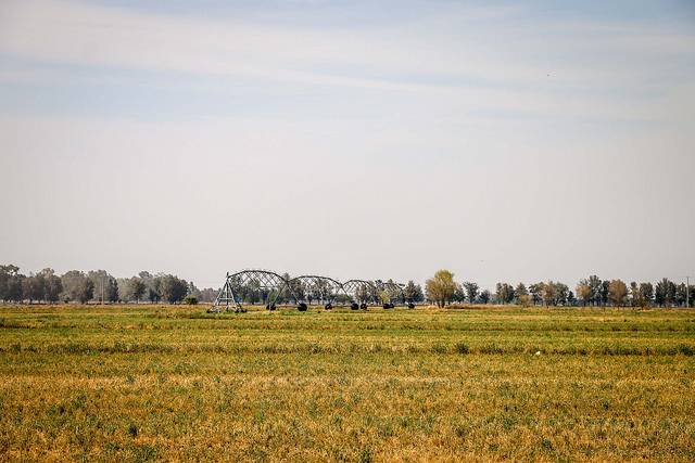 Noventa por ciento de ejidatarios han regularizado la situación de sus tierras