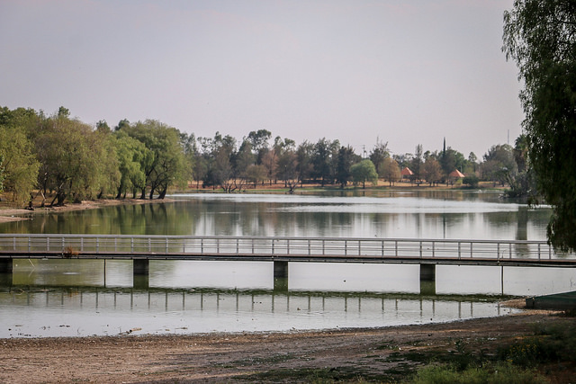 Dan capacitación a Centros de Educación Ambiental para mejorar servicios