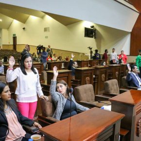 35246202553_130912b502_z