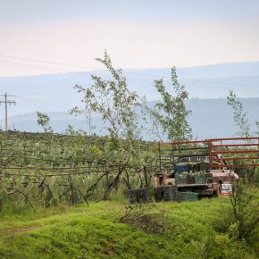 35796884411_8bae8efaa3_z