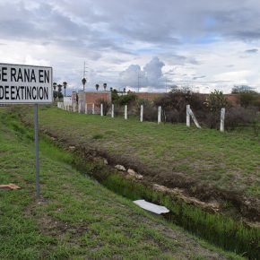 35868147615_499de01c71_z