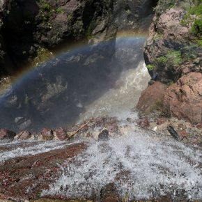 36011755036_34493d7459_z